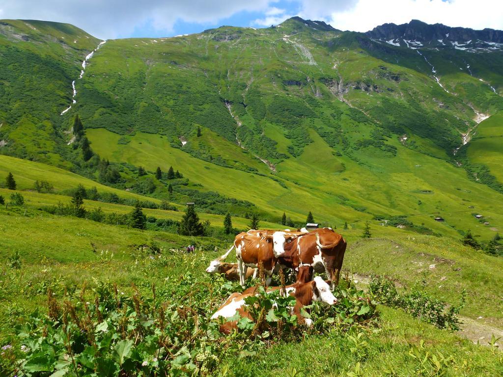 Stubnerbauer Bad Hofgastein Exterior foto